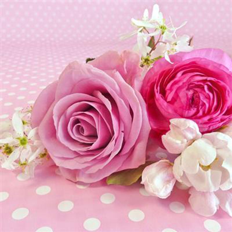 Lunsj serviett. Rosa Romance med to roser.