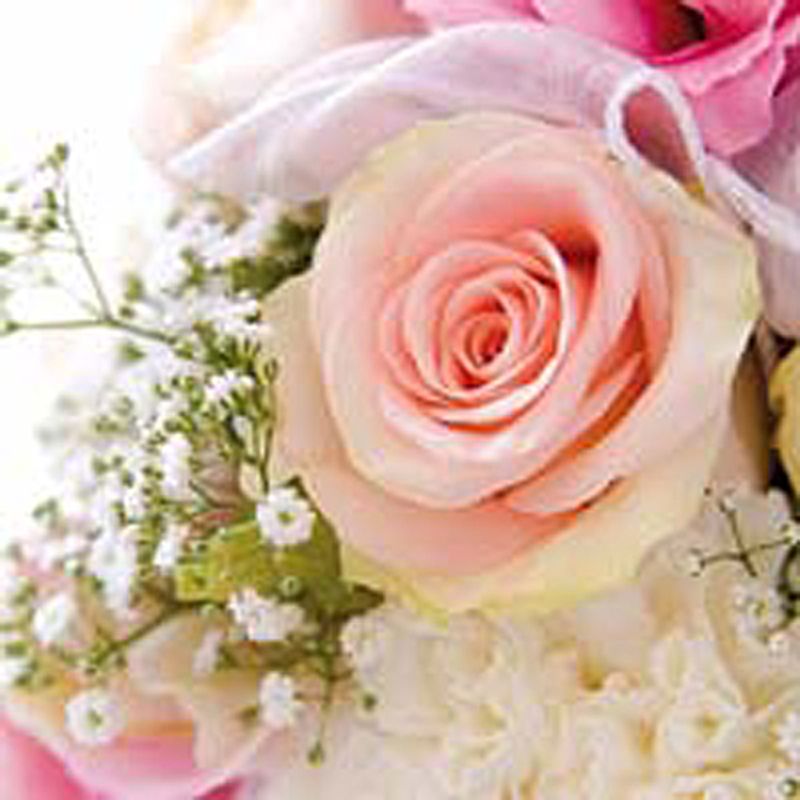 Lunsj serviett. Rosa romance, en rose.